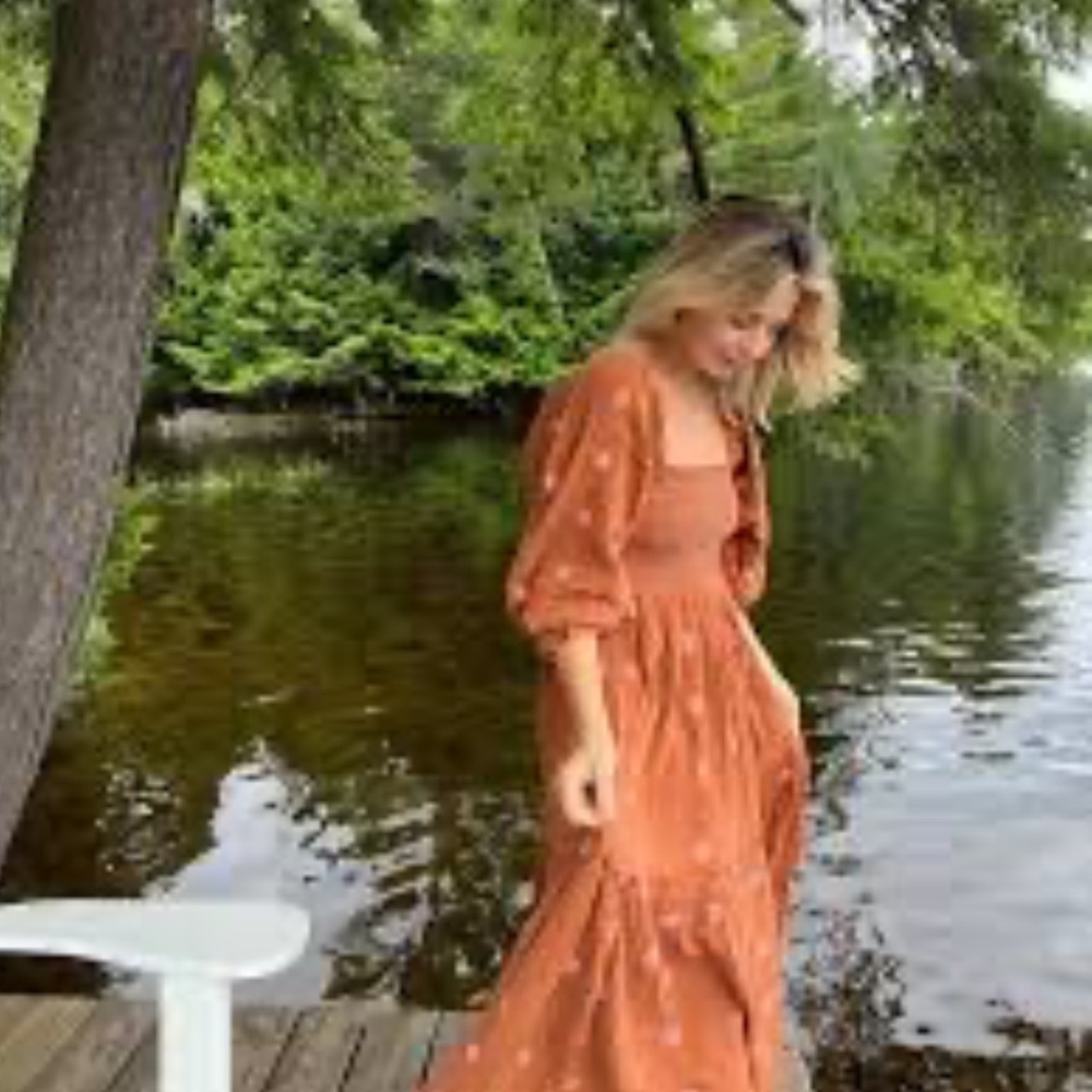 RARE Free People | Dahlia Embroidered Maxi Dress | XS - Picture 14 of 16